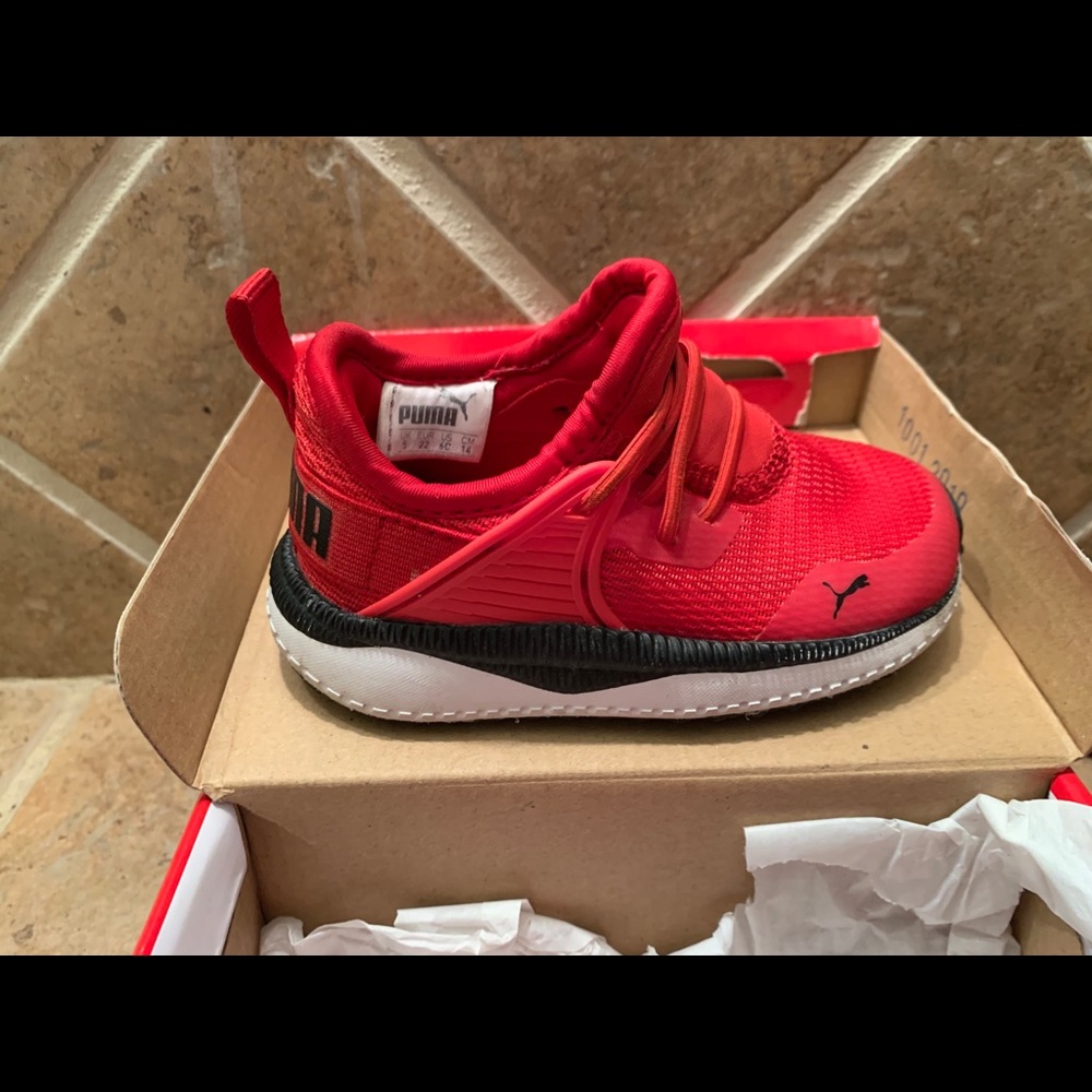 Pumas